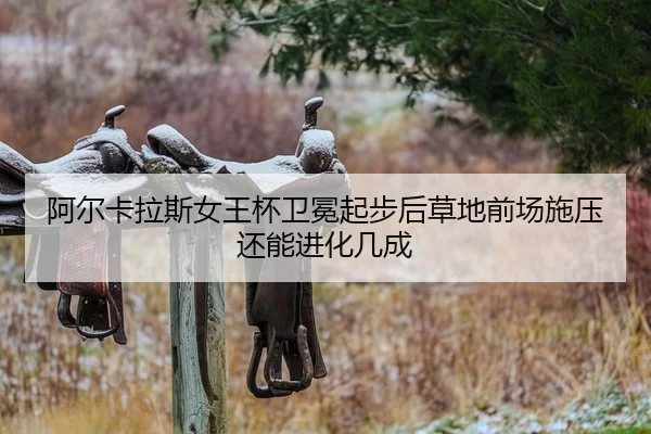 a-er-ka-la-si-nv-wang-bei-wei-mian-qi-bu-hou-cao-di-qian-chang-shi-ya-hai-neng-jin-hua-ji-cheng-2-432.jpg