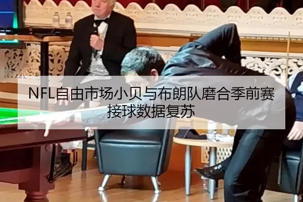 NFL自由市场小贝与布朗队磨合季前赛接球数据复苏