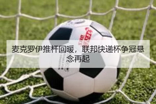 mai-ke-luo-yi-tui-gan-hui-nuan-lian-bang-kuai-di-bei-zheng-guan-xuan-nian-zai-qi-2-251.jpg