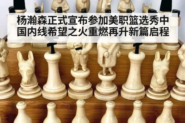 杨瀚森正式宣布参加美职篮选秀中国内线希望之火重燃再升新篇启程